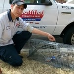 Trapped Opposum