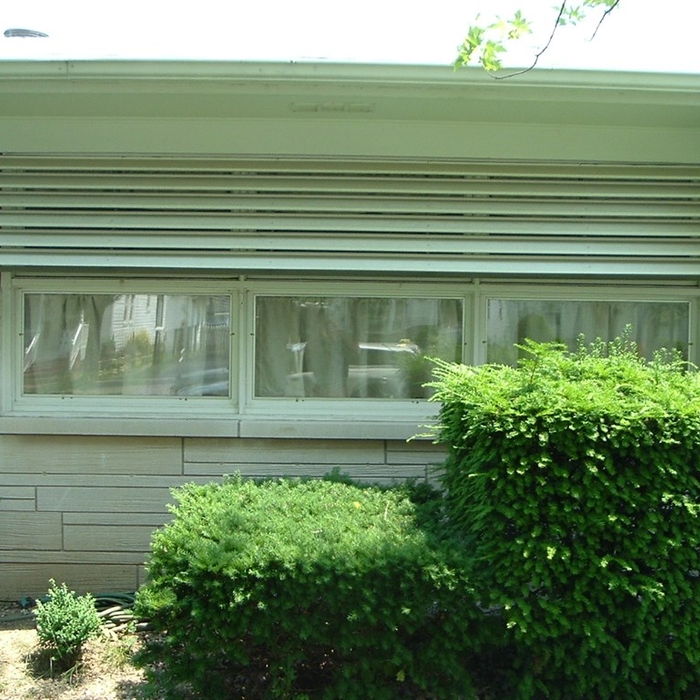 Additional Photos