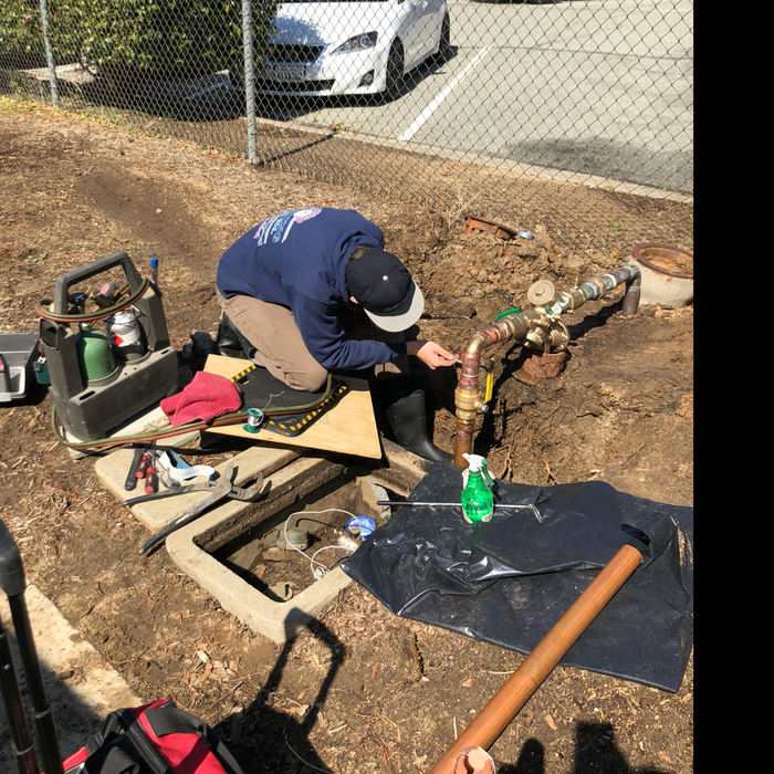 Additional Photos