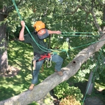 Climbing