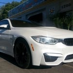Full Hood Clear Paint Protection