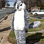 Squirrel