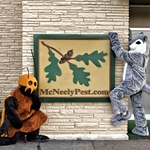 Squirrel and Cockroach