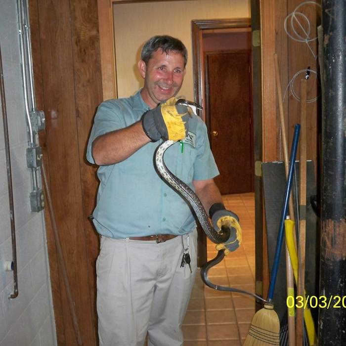 Snake Removal