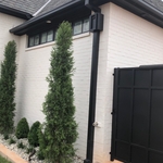 ALUMINUM(BLACK) - 6" BOX GUTTER W/ CONTEMPORARY STYLE COLLECT HEAD(CH#4)