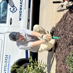 Windward's Termite Technician installing a Sentricon bait system.