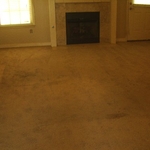 Carpet BEFORE Cleaning