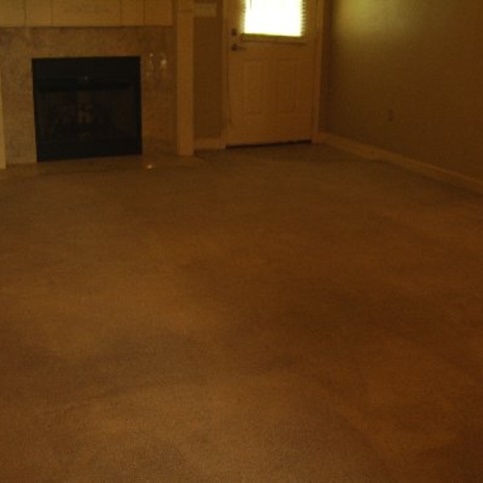Carpet AFTER it was cleaned