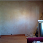 Berwyn Fireplace Before