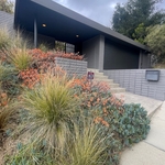 SHERMAN OAKS Exterior Painting