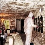 Severe mold problem