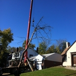 Tree removal with crane