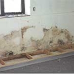 The most practical way to find a mold problem is by using your eyes to look for mold growth and by using your nose to locate the source of a suspicious odor.