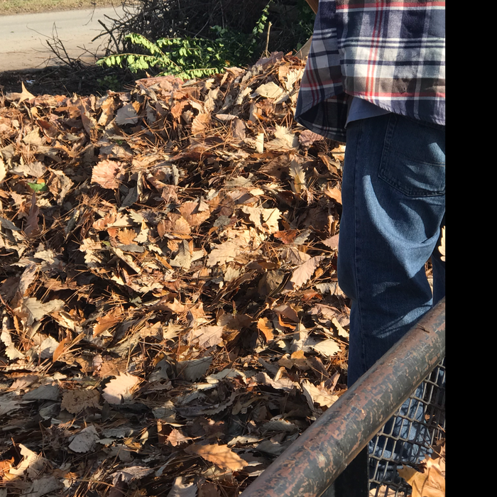 Additional Photos