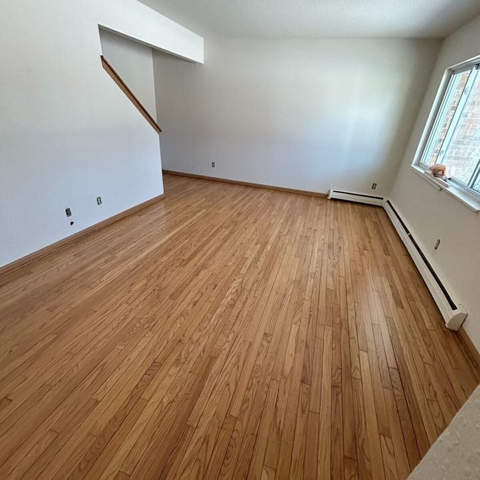 Paint Stain Removal