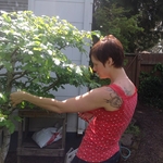 Rachel ornamental pruning