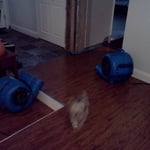 Water Damage