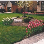 Floral Displays