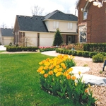 Landscape Renovation