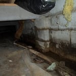 Wet Crawlspace