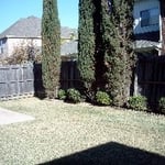 Wood Fence Before