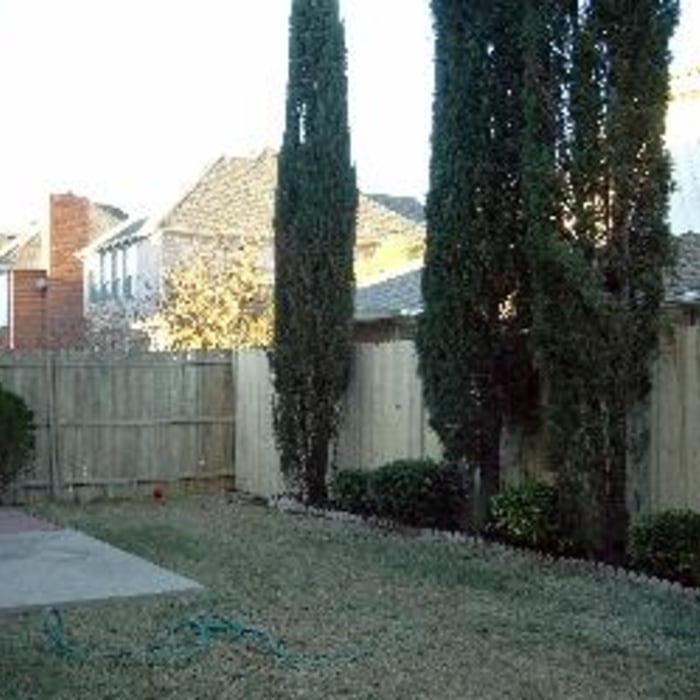 Wood Fence After Replacement and Wash
