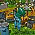 Stump Removal