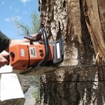 Tree Cutting