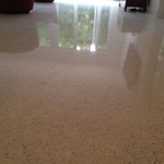 Terrazzo Flooring