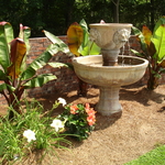 Tropical Landscape