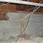 Subterranean Mud Tube