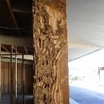 Subterranean Termite Damage