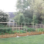 BackYard Farming Project