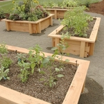 Raised Bed Gardens
