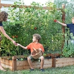 Raised Bed Garden