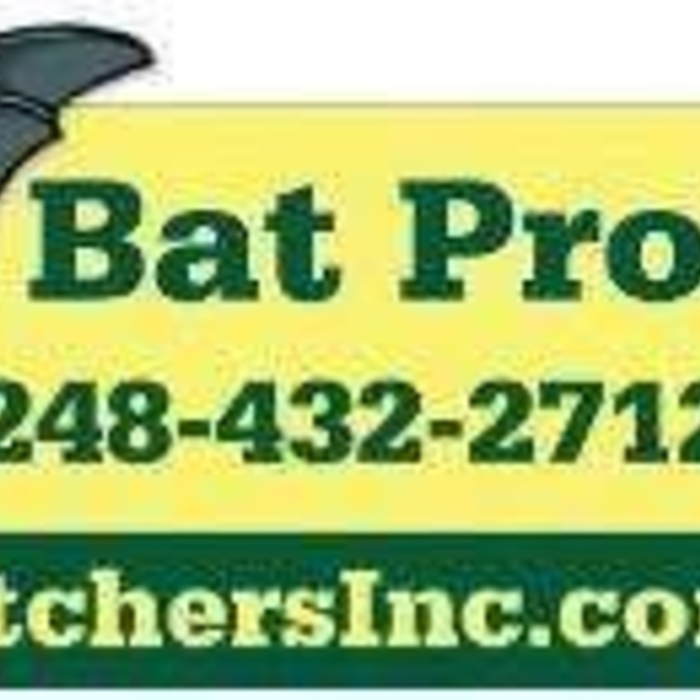 Bat Remvoal Billboard