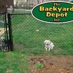 Chain Link Fences