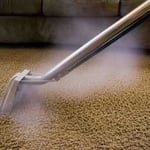 CARPET CLEANING
