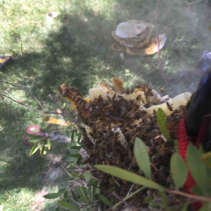 Additional Photos