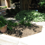 Before--Front Two Beds