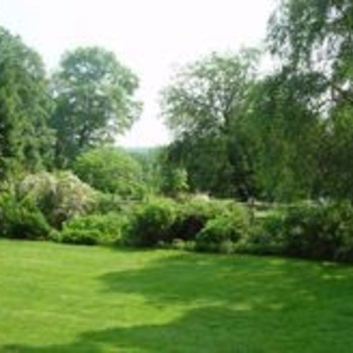 Ornimental plantings