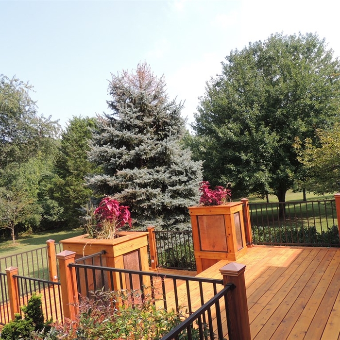 Cedar Deck with Bronze Rail