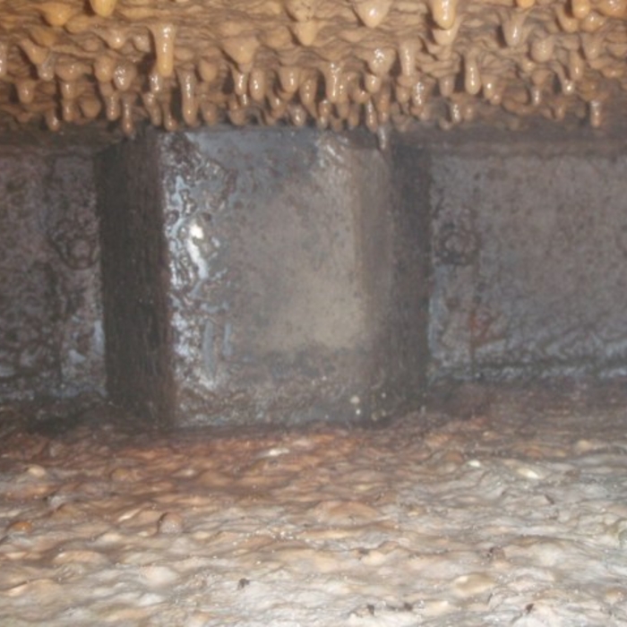 Septic tank Baffle. Inspected and photographed.