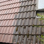 Tile Roof