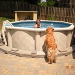 Round Pool in Patio
