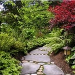 Ethan's Eden
