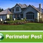 Perimeter Pests
