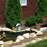 Additional Photos