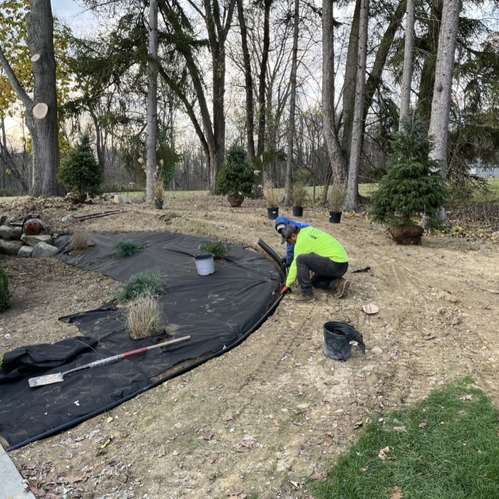 Additional Photos