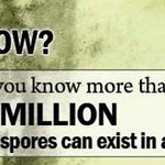 MOLD...A SYMPTOM OF A MUCH LARGER PROBLEM